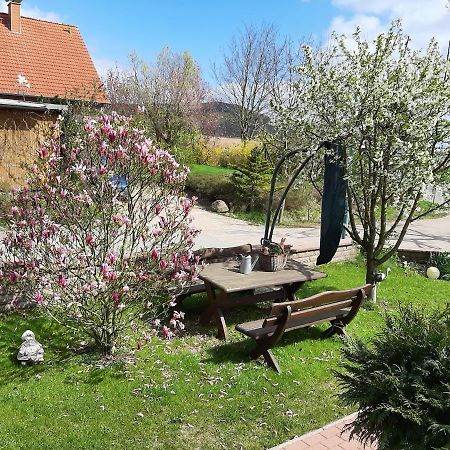 Familienfreundliche Ferienwohnung Auf Dem Lande Monteur Wohnung Hessisch Oldendorf Kültér fotó