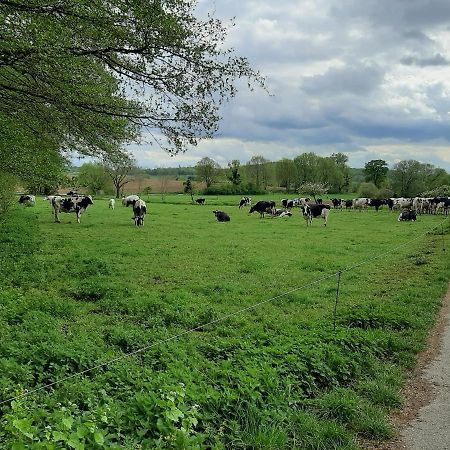 Familienfreundliche Ferienwohnung Auf Dem Lande Monteur Wohnung Hessisch Oldendorf Kültér fotó